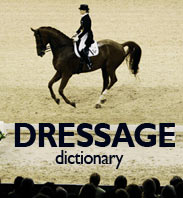 Dressage Movements Dictionary Part One
