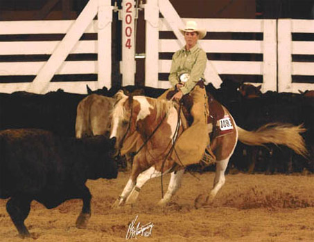 Show Horse Gallery - Flyin in Gold