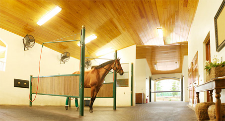 Show Horse Gallery - Stillpoint Farm of Wellington